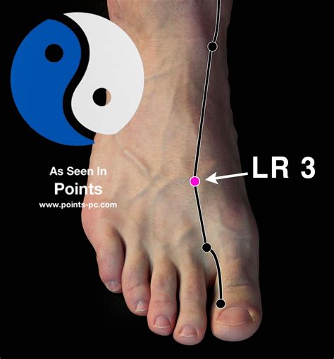 acupuncture point liver 3